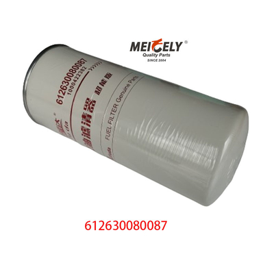 612630080087 Kamyon Parçaları Weichai Motor Dizel Filtreleri