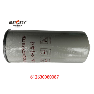 612630080087 Kamyon Parçaları Weichai Motor Dizel Filtreleri