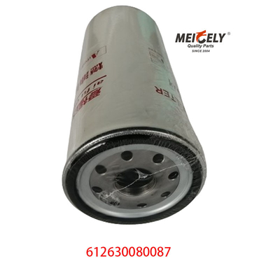 612630080087 Kamyon Parçaları Weichai Motor Dizel Filtreleri