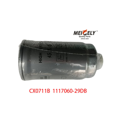 CX0711B Ağır Nakliye Kamyonu için Yakıt Filtreleri 1117060-29DB