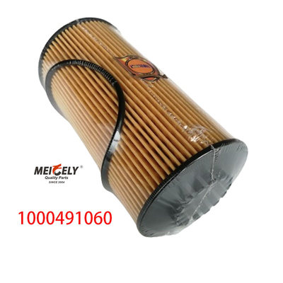1000491060 FAW Jiefang J6PJH6 Kamyon Petrol Filtresi