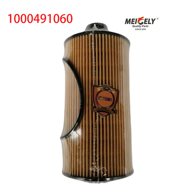 1000491060 FAW Jiefang J6PJH6 Kamyon Petrol Filtresi