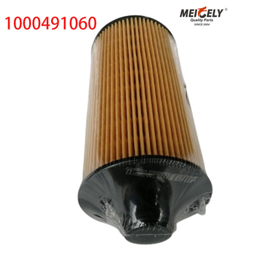 1000491060 FAW Jiefang J6PJH6 Kamyon Petrol Filtresi