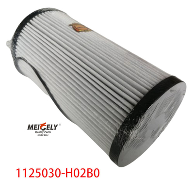 1125030-H02B0 Kamyon parçaları Dongfeng Tianlong için yakıt filtresi