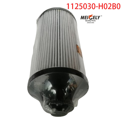 1125030-H02B0 Kamyon parçaları Dongfeng Tianlong için yakıt filtresi