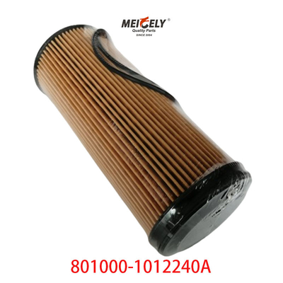 Petrol Filtresi OEM 801000-1012240A Dongfeng Liuqi Chenglong için