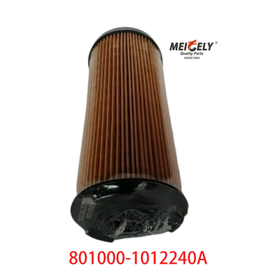 Petrol Filtresi OEM 801000-1012240A Dongfeng Liuqi Chenglong için