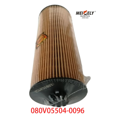 Stock OEM 080V05504-0096 SINOTRUK Howo T5G Kamyon Petrol Filtresi için