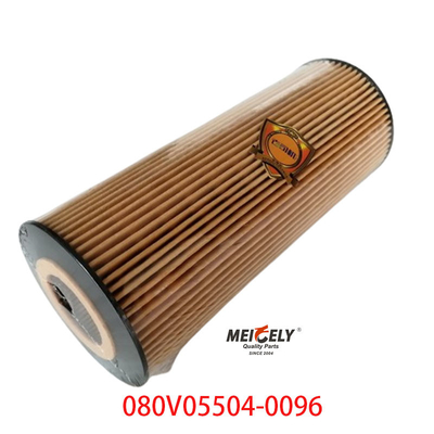 Stock OEM 080V05504-0096 SINOTRUK Howo T5G Kamyon Petrol Filtresi için