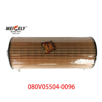 Stock OEM 080V05504-0096 SINOTRUK Howo T5G Kamyon Petrol Filtresi için