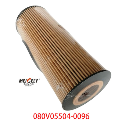 Stock OEM 080V05504-0096 SINOTRUK Howo T5G Kamyon Petrol Filtresi için