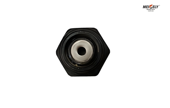 Fuso ve Canter ME012586 Bolt Oil Jet Valve Tüm Modeller İçin