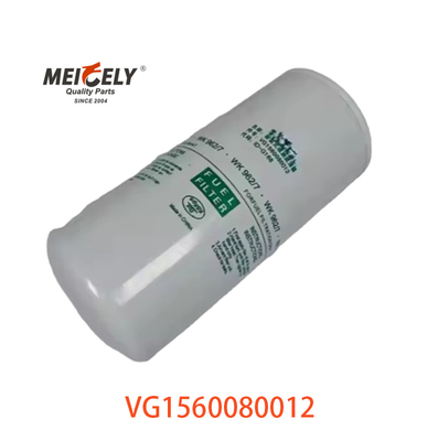 VG1560080012 Yakıt Filtresi 20805349 SINOTRUK CNHTC HOWO için