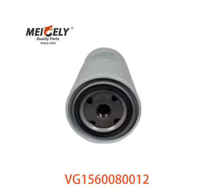 VG1560080012 Yakıt Filtresi 20805349 SINOTRUK CNHTC HOWO için