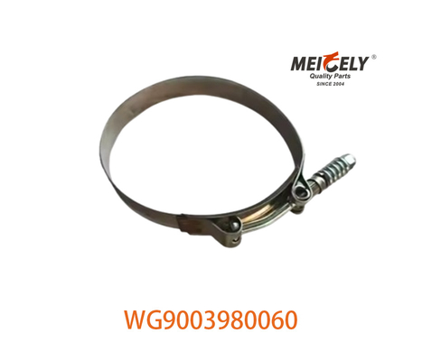OEM WG9003980060 SINOTRUK HOWO için Güçlü hortum klemesi