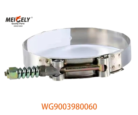 OEM WG9003980060 SINOTRUK HOWO için Güçlü hortum klemesi