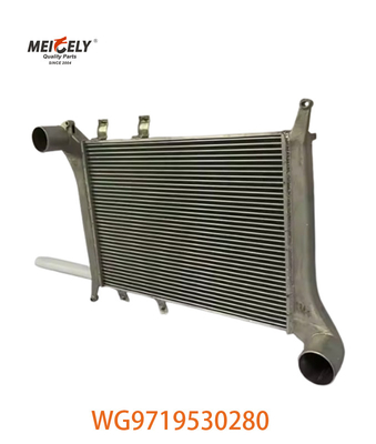 OEM WG9719530280 Howo Intercooler Assembly için WG9719530281