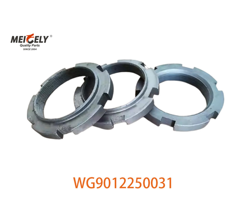 Resim Ekranı WG9012250031 Sinotruk Howo Kamyonu için Ağır Kamyon Fındığı