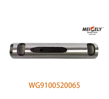 Kamyon parçaları OEM WG9100520065 SINOTRUK HOWO 199100520065 için aygıtı