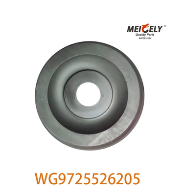 Yüksek performanslı ortak rulman montajı WG9725526205 Çinli SINOTRUK HOWO için