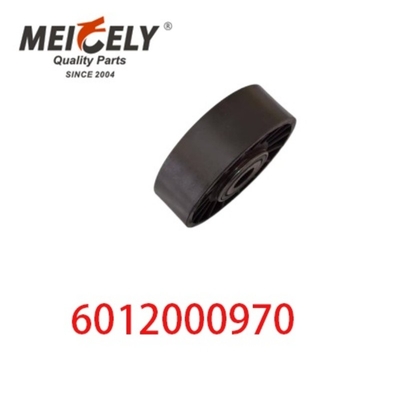 6012000970 9146139 Otomobil Motoru Parçaları Kemer Tensiyon Çubuk Mercedes Benz için