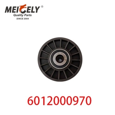 6012000970 9146139 Otomobil Motoru Parçaları Kemer Tensiyon Çubuk Mercedes Benz için