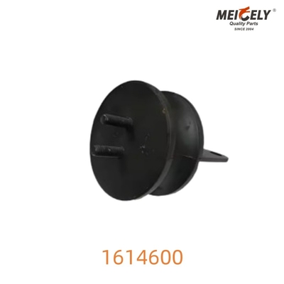 1614600 Volvo için radyatör montajı