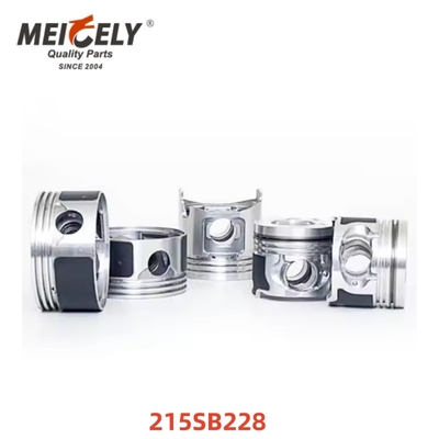 Yüksek Performanslı Piston 215SB228 MACK TRUCKS için kalıcı yedek bileşen