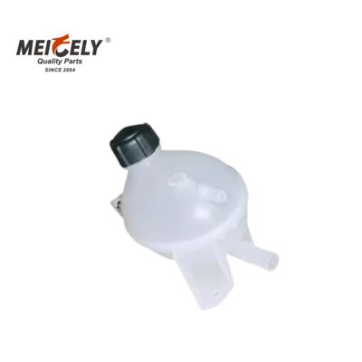 Renault Ağır Güçlü Kamyonlar için Dayanıklı 217104354R Soğutma Su Tankı