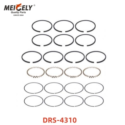 Yüksek Performanslı Piston Halkası DRS-4310 MACK TRUCKS için Dayanıklı Değiştirme Bileşeni