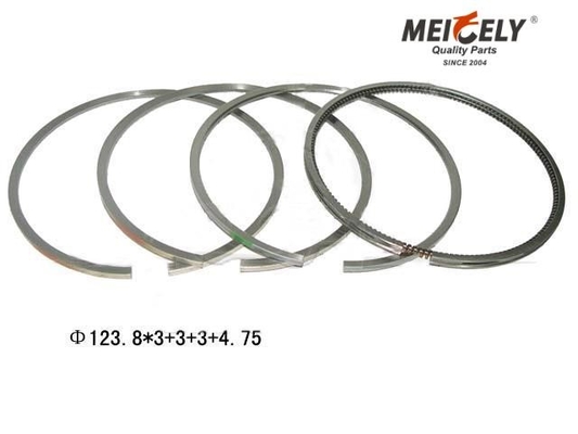 E6 Motor Segmanı OE No. EPR-1816 353GC280B 353GC241CP 353GC2121 1353GC241SP1 EPR1807 EPR-1807 353GC213